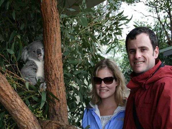 Us and the Koala