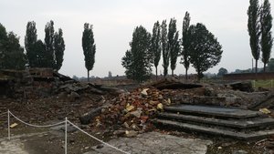 Remains of Gas Chamber - Birkenau 