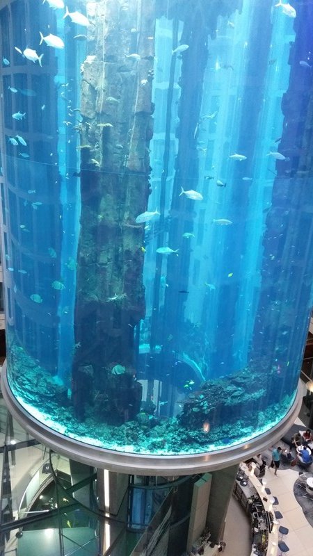 The Aquarium in the Foyer