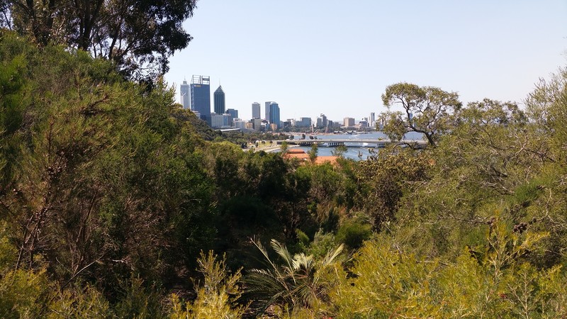 View of Perth's CBD from Kings Park