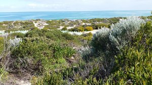 Conservation Experience Location Day 1 - Swanbourne