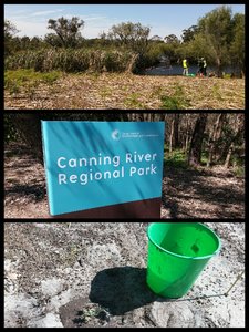 Day 9 - Conservation Experience - Canning River Wetlands