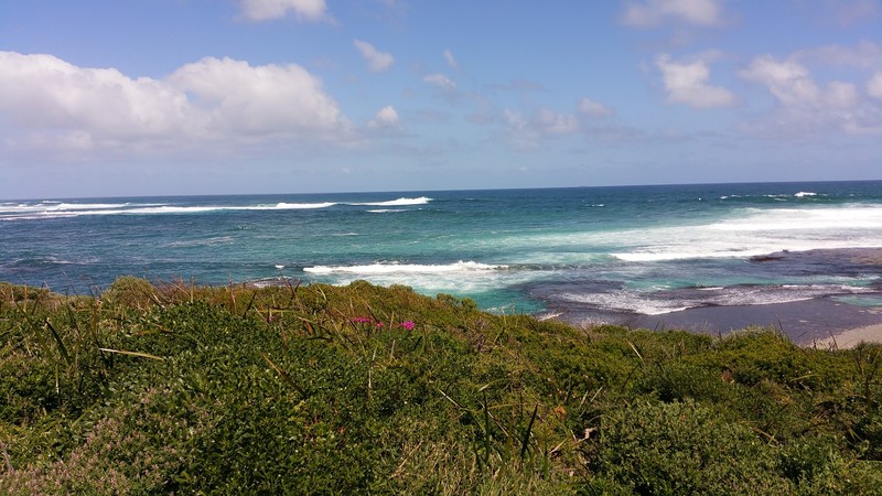 Surfer's Bay 