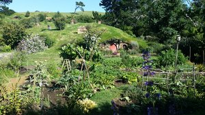 What's available in the Veg Garden? Hobbiton