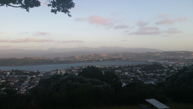 Wellington from Mount Vic