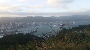 Wellington from Mount Vic. 
