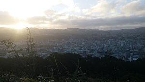 Wellington from Mount Vic.