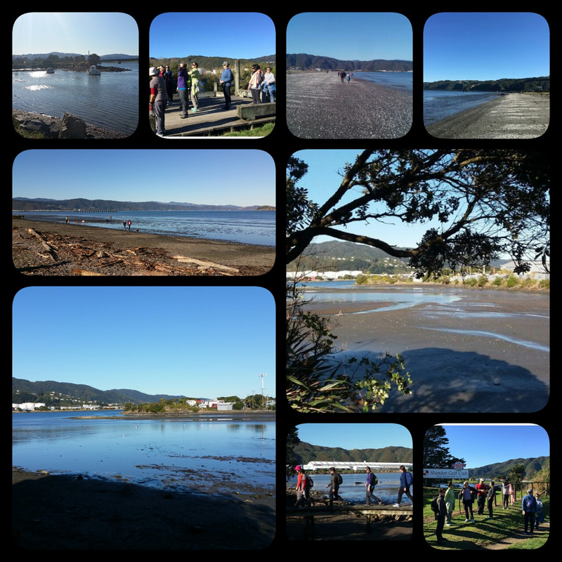 Beautiful winter walk in Petone along the esplanade and river with 'Welly Walks'. 