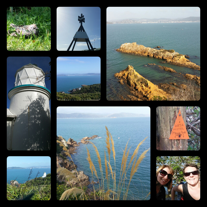 Somes Island with Tracy