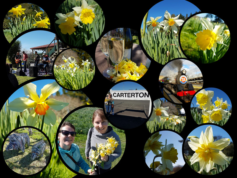 Carterton Daffodil Festival