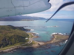 My last view of the Wellington Coastline