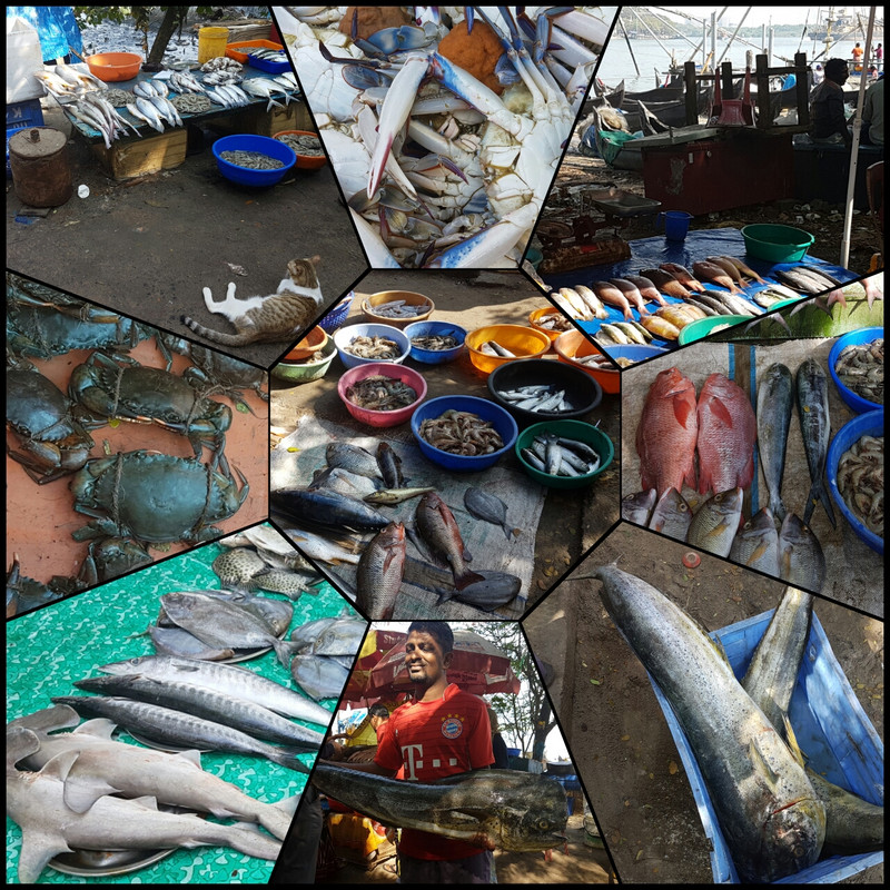 Fish Market, Cochin