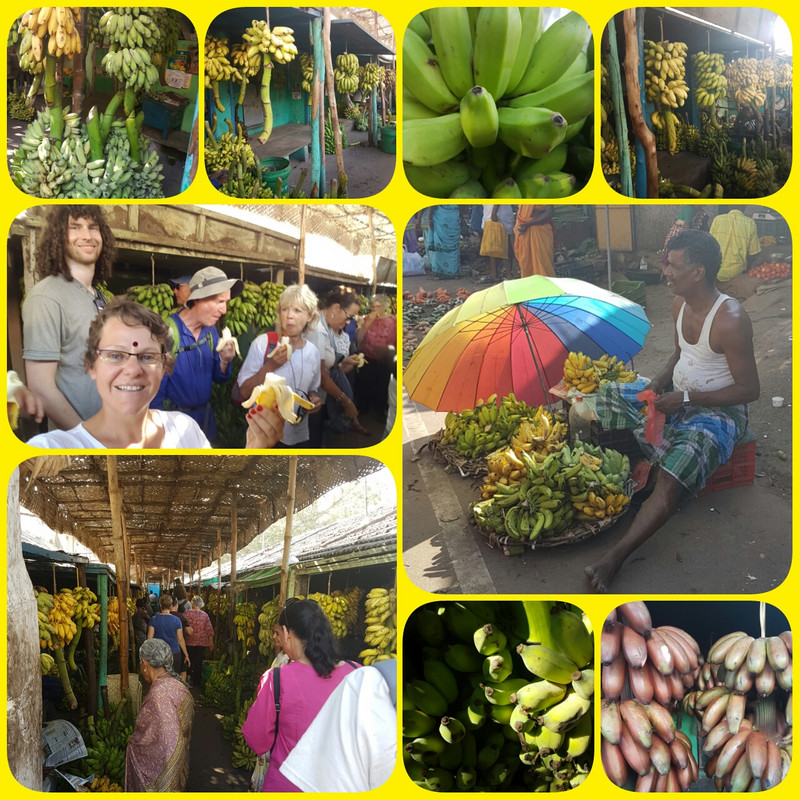 Banana Market, Madurai. Can you spot 13 different varieties? 