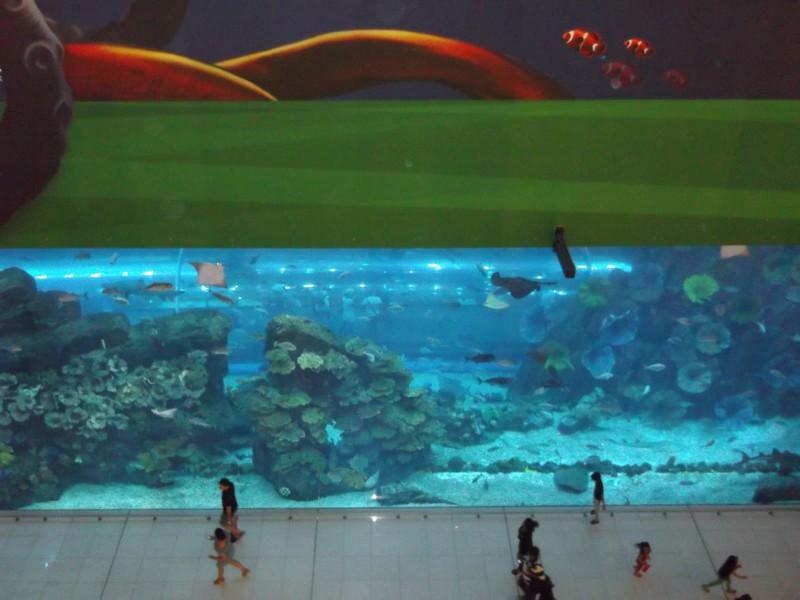 Underwater Aquarium in Dubai Mall