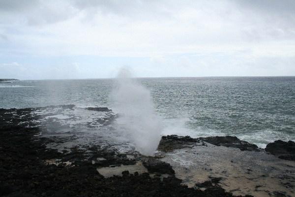 Cool Blowhole