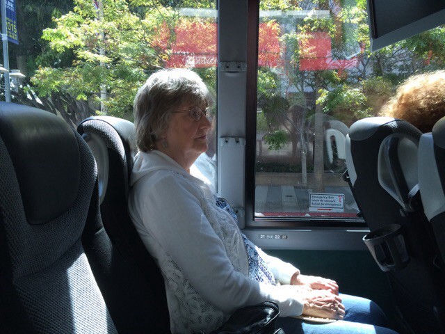 Mom in the bus