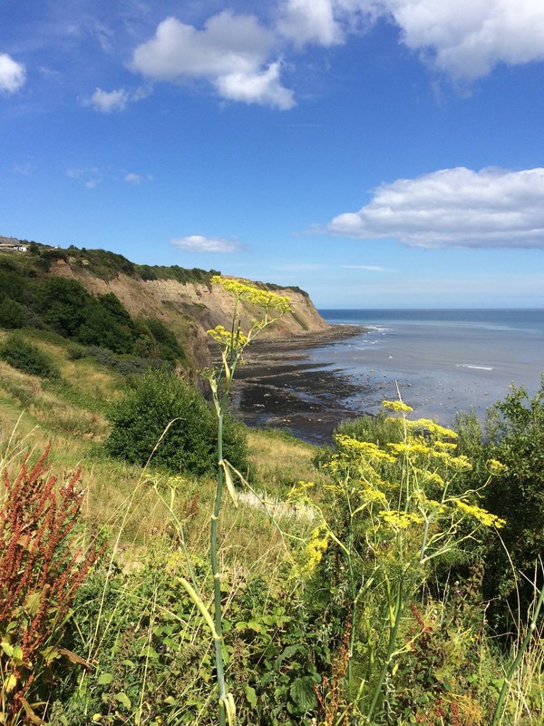 Looking North from Robin Hoods Bay