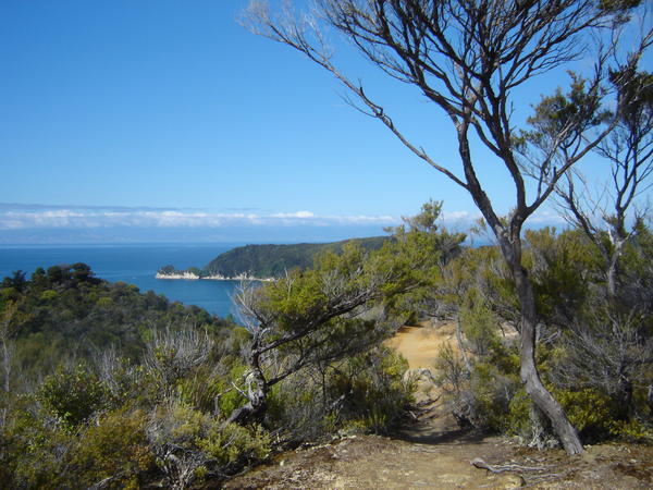 the Abel  Tasman Coastal Track