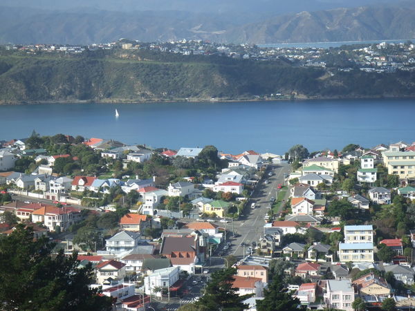 Beautiful Day in Wellington