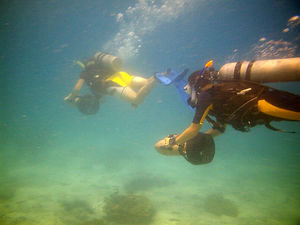 Ko Tao scuba diving