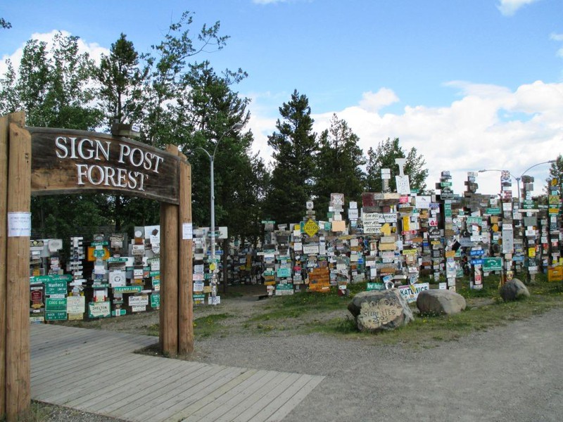 Sign post forest 1