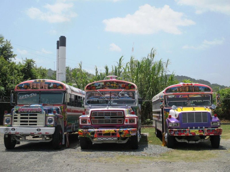 Panamenian busses