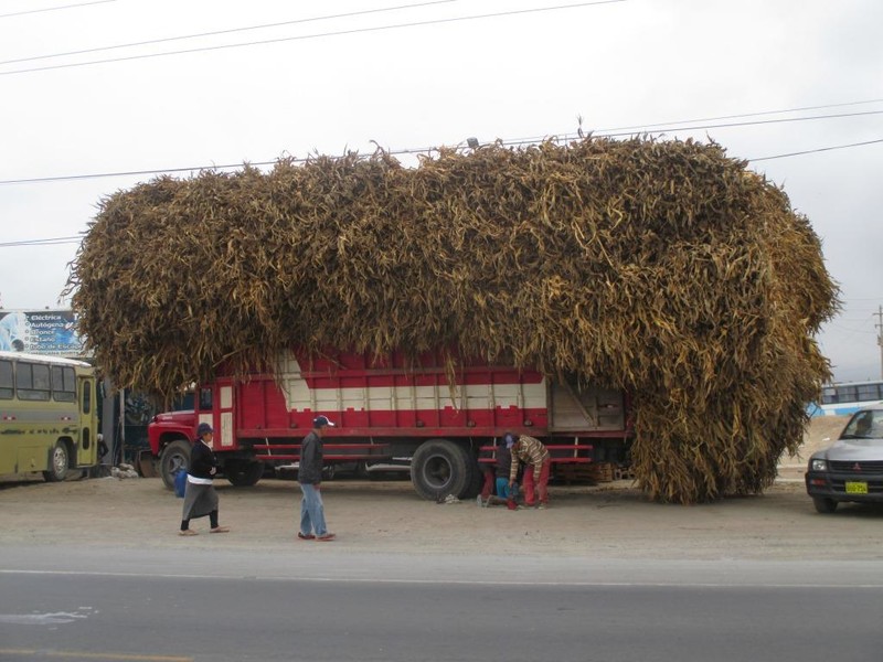Efficient loading, overloaded, or just simply ridiculous - you judge