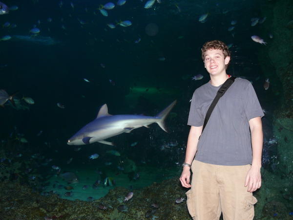 me with a shark