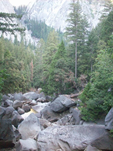 Yosemite pt 1 029