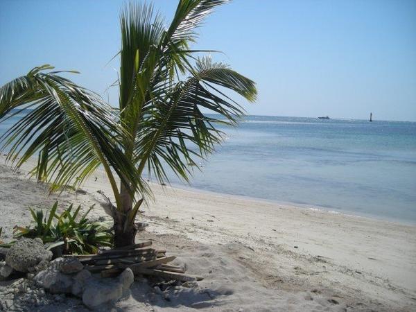 Blue sky, white sand, turquoise seas, palm trees...