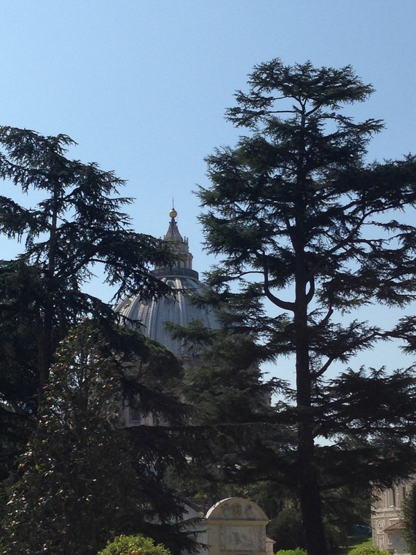 View of Saint Peter's From Vatican Gardens
