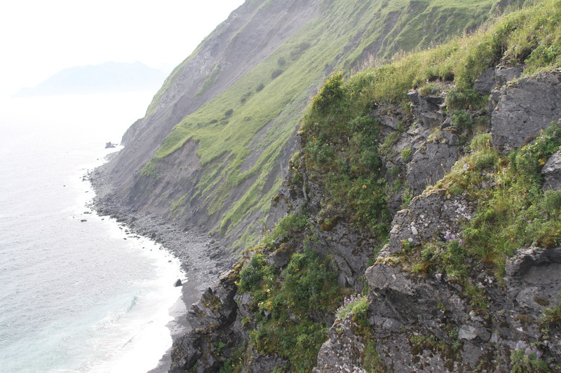 Kodiak Cliffs