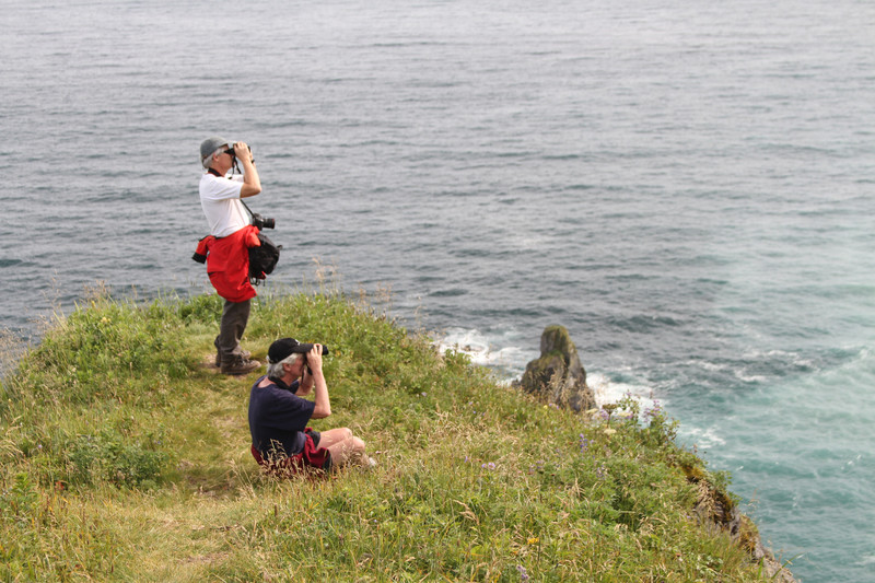 Searching for Tufted Puffins