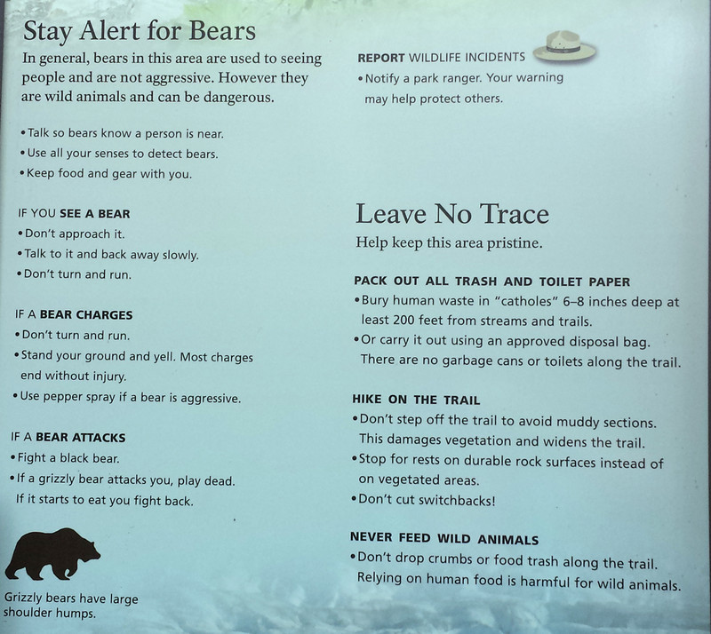 Bear Warning read small print lower left if bear attacks