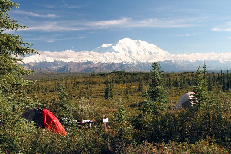 View of Denali from our campsite