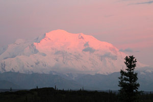 Denali alpenglow before sunrise closeup