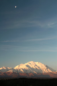 Moon over Denali in early morning light
