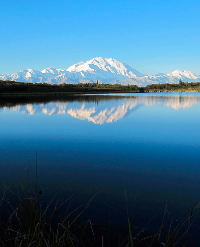 Denali from edge of Reflection Pond