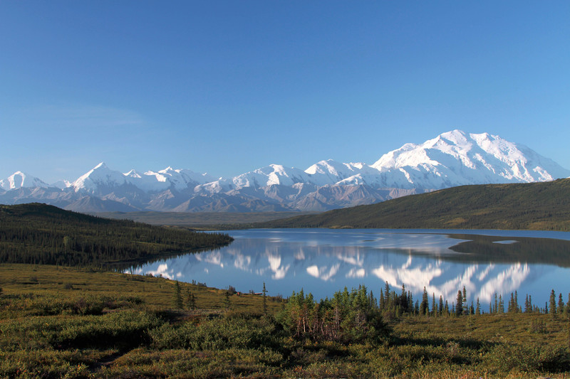 Denali refected in Wonder Lake from Blueberry Hill