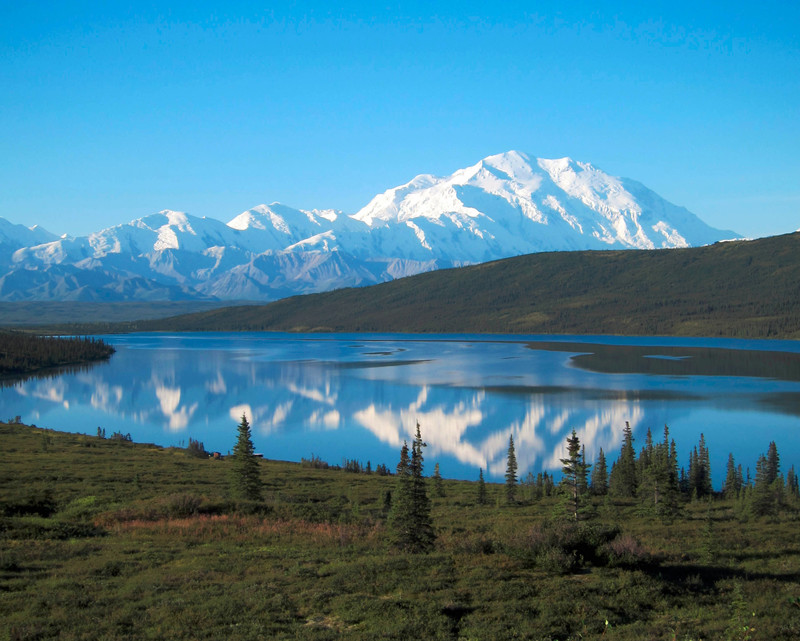 Denali reflection in Wonder Lake from Blueberry Hill