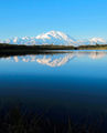 Denali from edge of Reflection Pond