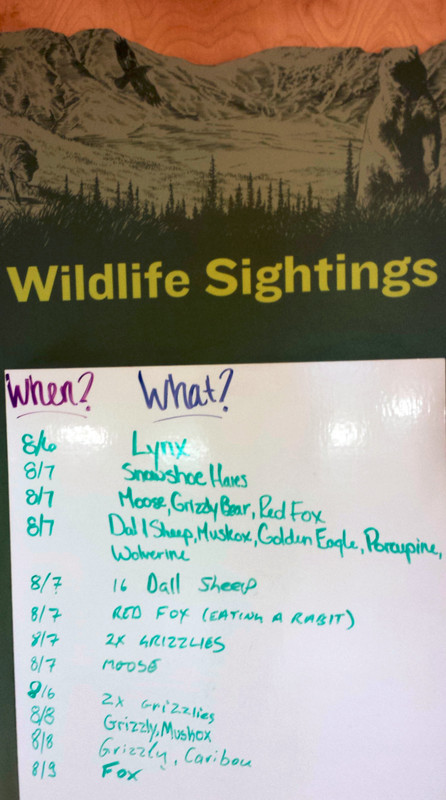 Wildlife Sightings at Coldfoot