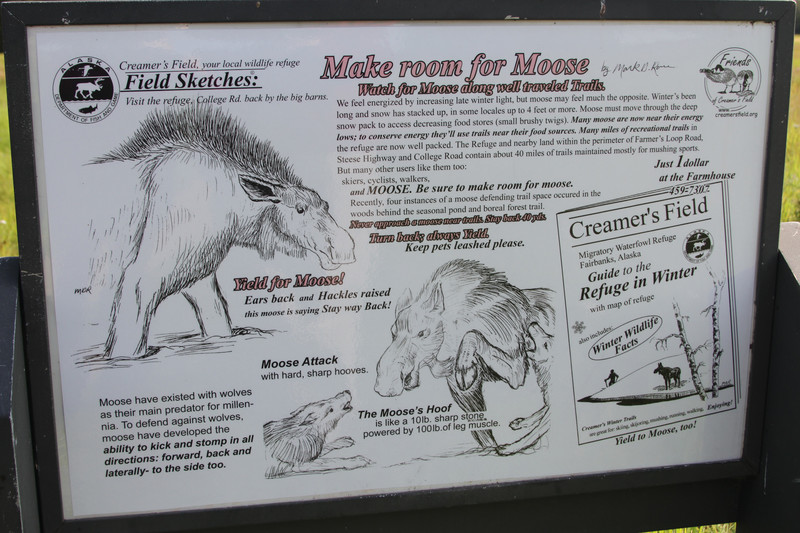 Mark Ross field sketch regarding moose