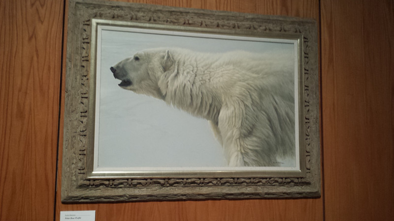 Painting of polar bear at Fairbanks University museum by wildlife artist Roert Bateman