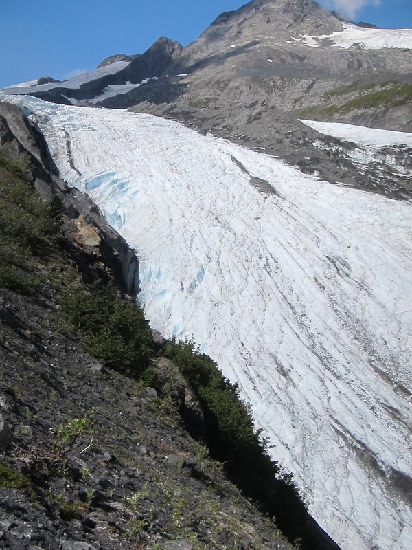2015 08 14 View above Worthington Glacier from Ridge Trail