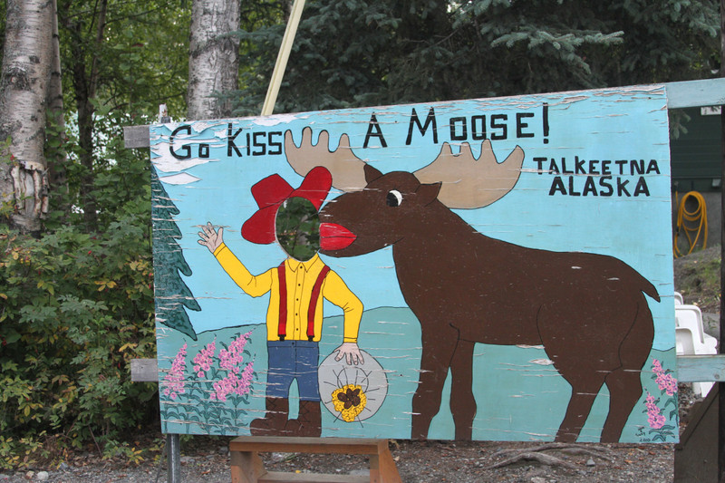 Go Kiss a Moose Talkeetna