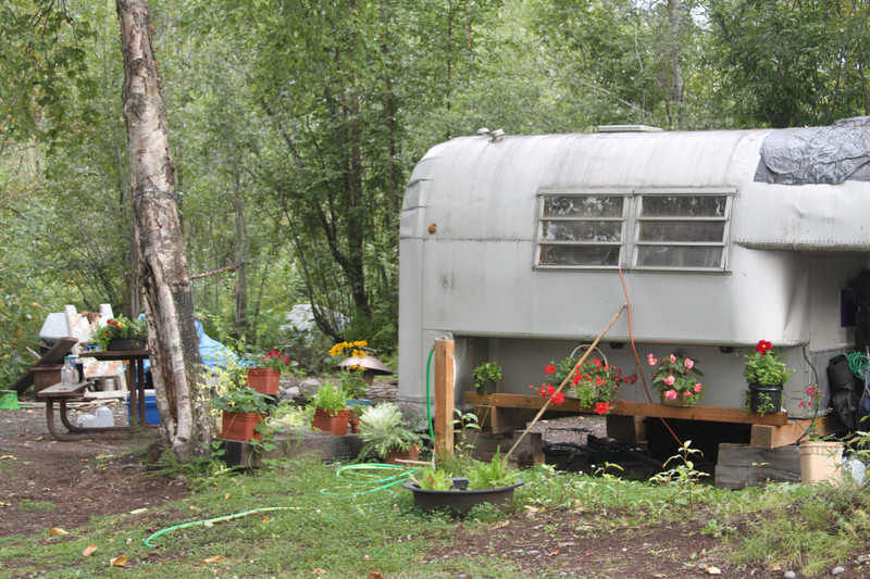 Talkeetna Townsite Campground Host