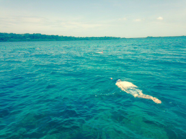 Snorkelling the crystal waters