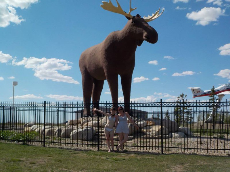 A Moose