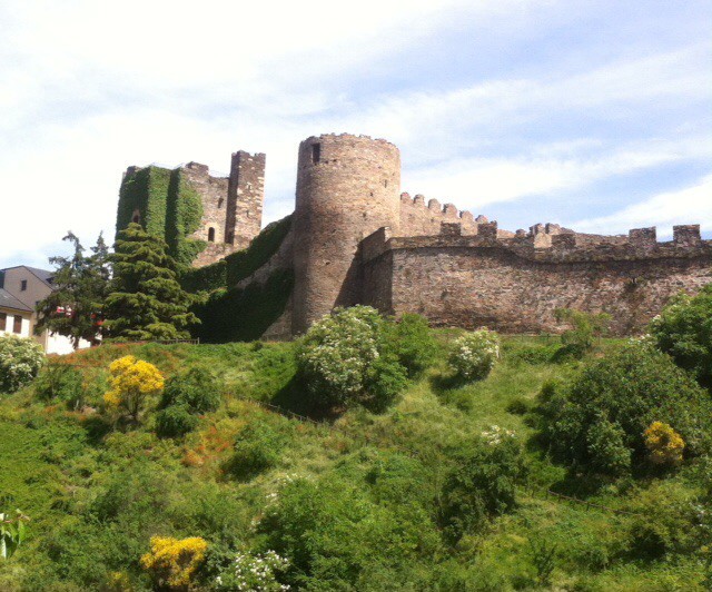 Templar's castle